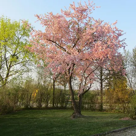 דירה Appartementhaus Stephanie באד פיסינג